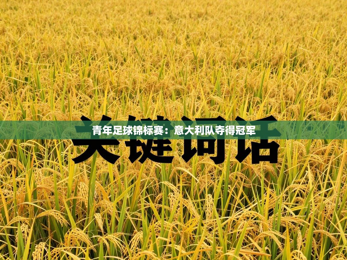 青年足球锦标赛:意大利队夺得冠军 第1张